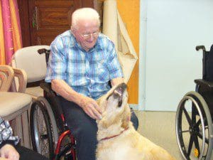 Visite des chiens septembre 2014 006